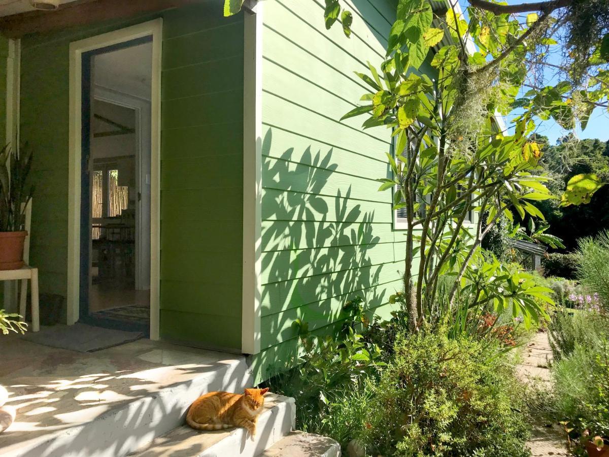Loeriewood Garden Apartment, Hunters Home Книсна Екстер'єр фото